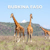 Burkina Faso Data Only Plan