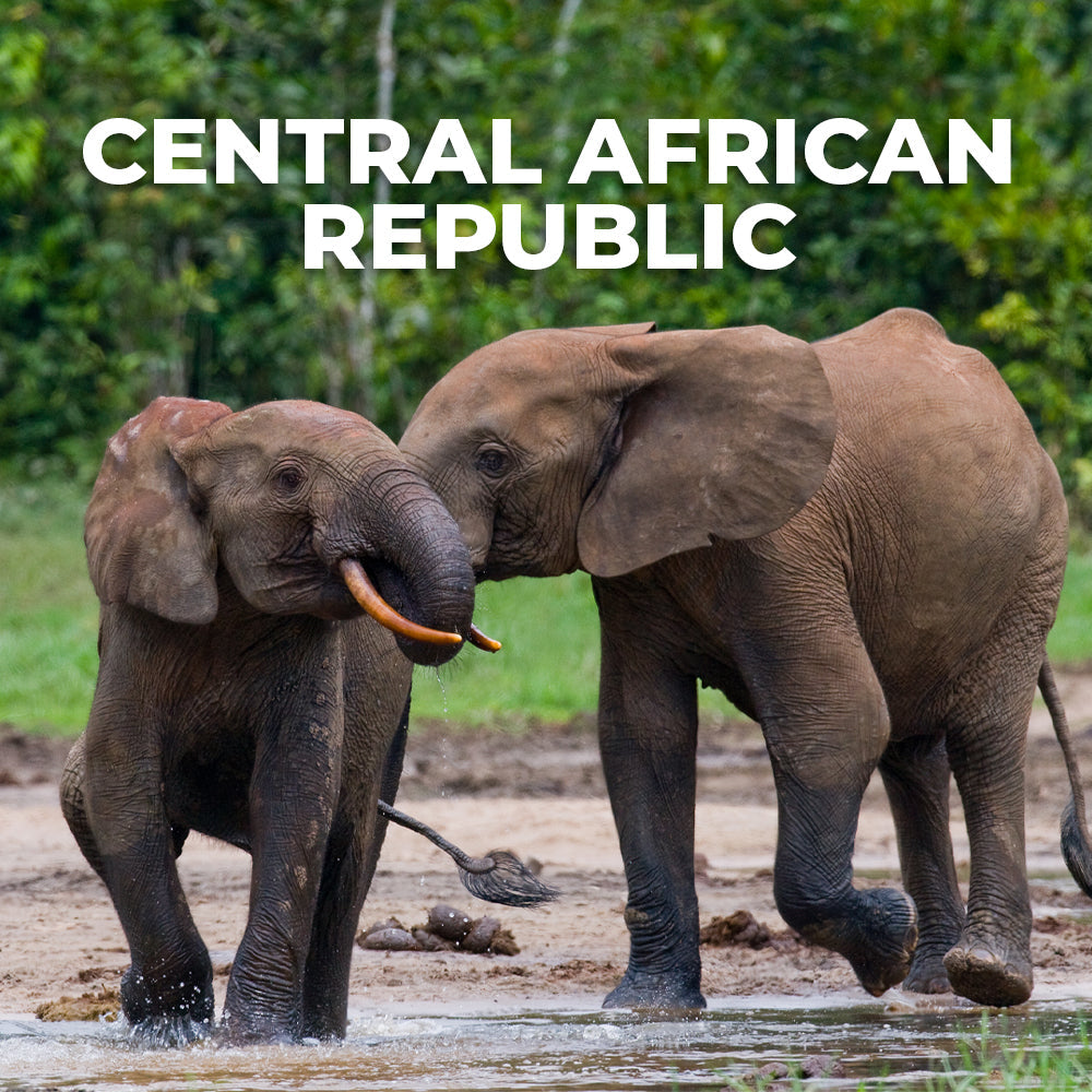 Central African Republic Data Only Plan