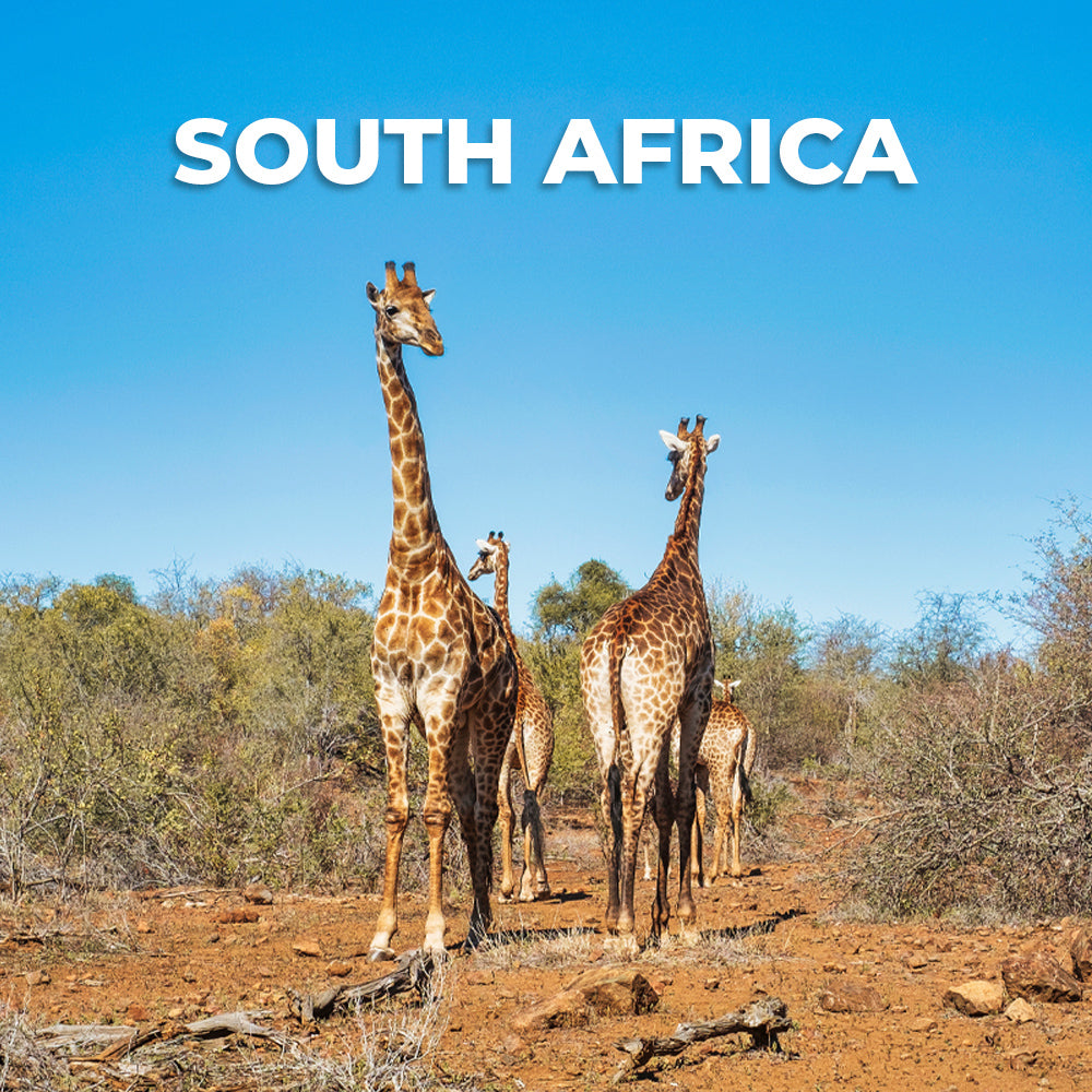 South Africa Data Only Plan