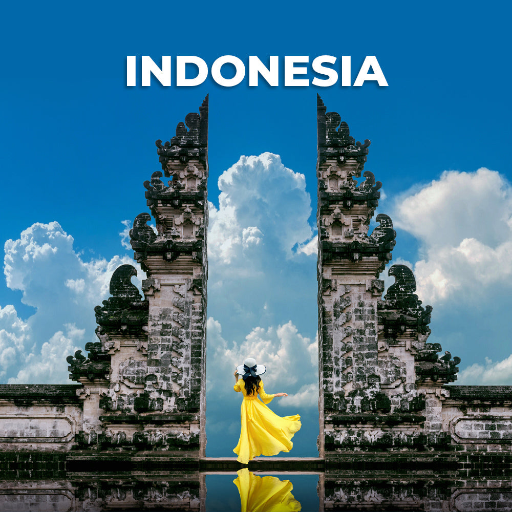 Indonesia Data Only Plan