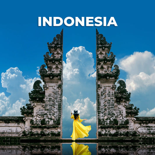 Indonesia Data Only Plan